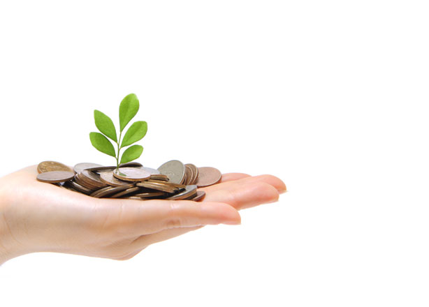 Microfinanțări pentru cultura vie (2012)